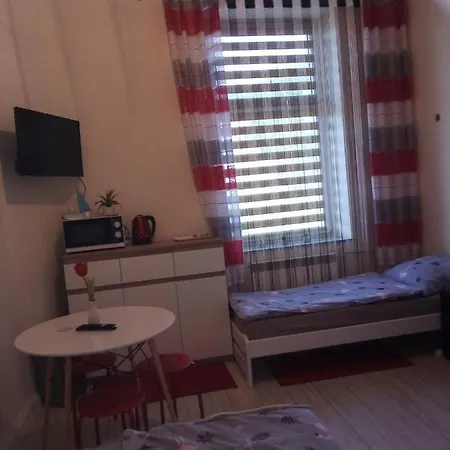 Torino Apartment Zator Exterior photo