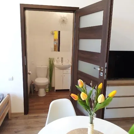 Torino Apartment Zator Exterior photo