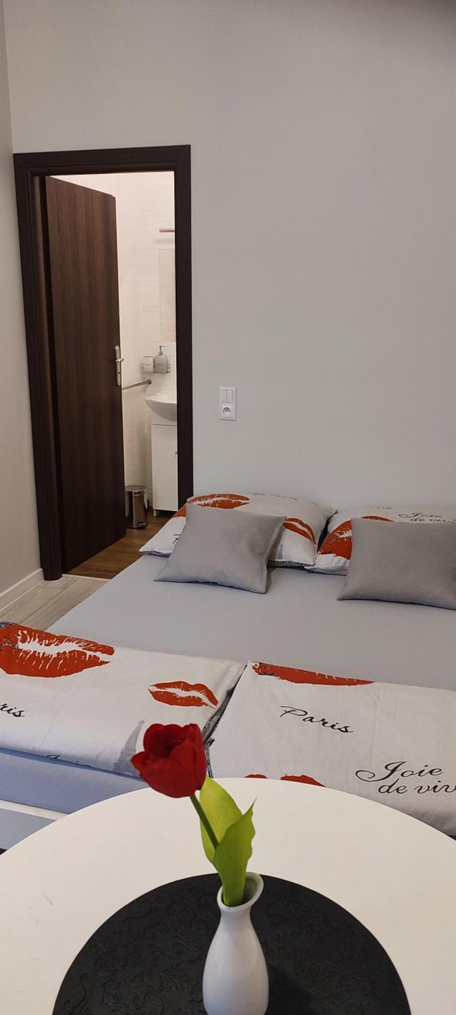 Apartment Torino Zator